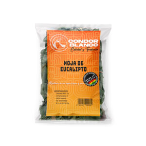 Hoja de Eucalipto